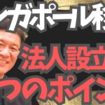 【必見】シンガポール法人設立の必要事項６つを紹介します（タックスヘイブン/海外移住）