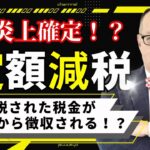 メチャクチャすぎる定額減税！減税された税金が後から徴収されるケース続出か？定額減税で日本国民全員「確定申告」 も！？トンでも減税策がいよいよスタート #280 #定額減税