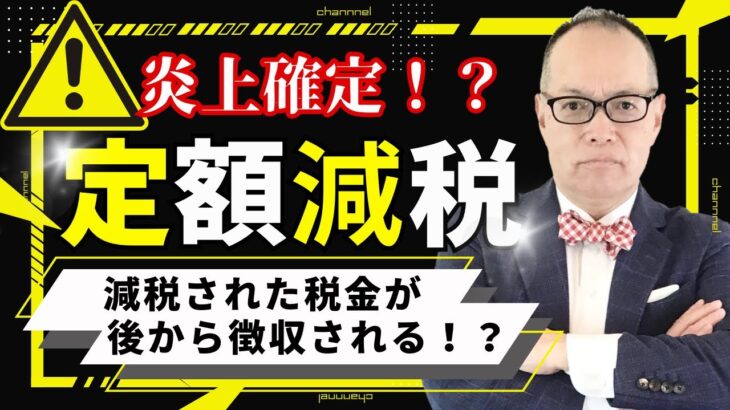 メチャクチャすぎる定額減税！減税された税金が後から徴収されるケース続出か？定額減税で日本国民全員「確定申告」 も！？トンでも減税策がいよいよスタート #280 #定額減税