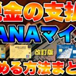 ANAマイルが貯まる税金の支払い方法まとめ❗️❗️【改訂版】固定資産税・自動車税などの地方税💸