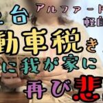 音声あり【自動車税2台分💸】車の税金来た！自動車税/アルファード/そして悲劇が再び…😇