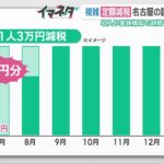 6月から始まる定額減税　経理・給与担当者は困惑　税金のプロに「どういう制度かわからない」と相談増 (24/05/29 17:51)