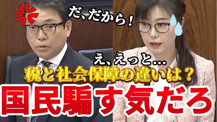 【国民を騙す気だろ】なぜ税金じゃなく社会保障？実質負担がゼロの理屈がわからん！【#国会中継】【柴慎一・加藤鮎子内閣府特命担当大臣】