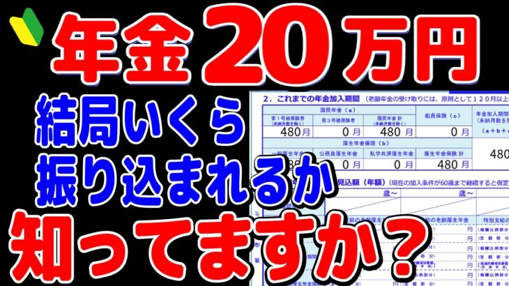 【2024年】年金月20万円は税金がこんなに天引きされる!?驚きの手取り額とは?結局いくら振り込まれるのか?【元金融マンの投資初心者アニメ】