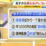 【６月から変わります】定額減税だけじゃない『お金の話』総まとめ！電気代アップ２つの理由・喜べない年金支給額アップ・徴収終わる税と始まる税など（2024年5月31日）