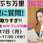 【くしぶち万里　国会質問】税金取りすぎ！国民を救え!!　決算行政委員会（2024年6月17日　16:56頃～）れいわ新選組　東京14区