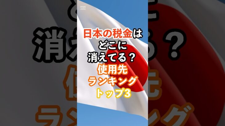 日本の税金はどこに消えてる？使用先ランキングトップ3#日本#税金#海外の反応#雑学