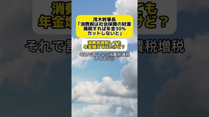 【怒り】茂木幹事長「消費税は社会保障の財源。減税すれば年金30%カットが必要」 #時事 #茂木敏充 #消費税 #年金