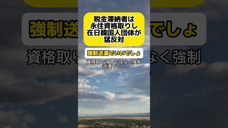 【激怒】税金滞納者は永住資格を取り消す。これに在日韓国人団体が猛反発 #時事 #税金 #滞納 #国会審議 #韓国人