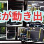 需給改善で動き出すか日本株、税金、社会保険と個人の負担増が続いていく、この３年は全力で株で稼ぐべし