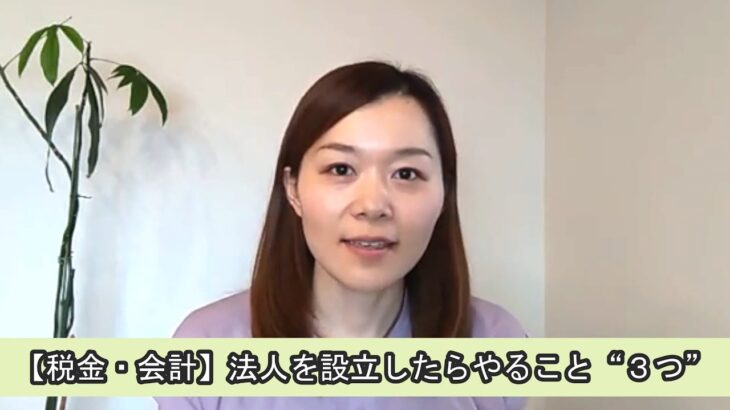 【税金・会計】法人を設立したらやること“３つ”