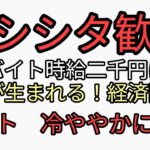 ハシシタ歓喜　大阪万博ボランティア時給二千円に税金搾り取られた貧困者がさっ到。雇用が生まれる！経済回る！もちろん炎上