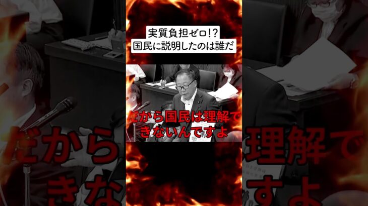 【だましてる？】国民に付加価値税って説明してないでしょ？誰だこんな説明したのは【国会中継】