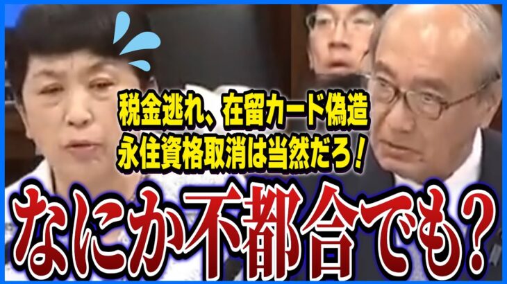 【朗報】在留カード偽造や税金逃れは永住資格取消へ。福島みずほは猛反対するも法務大臣の前に完敗。