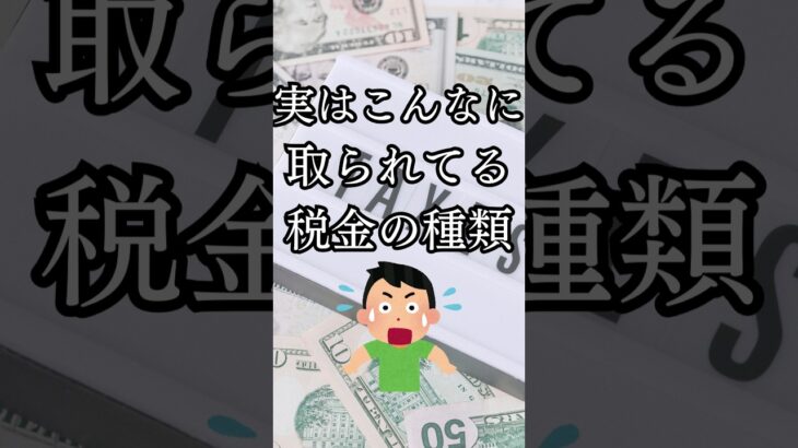 実はこんなに取られてる！税金の種類　#税金