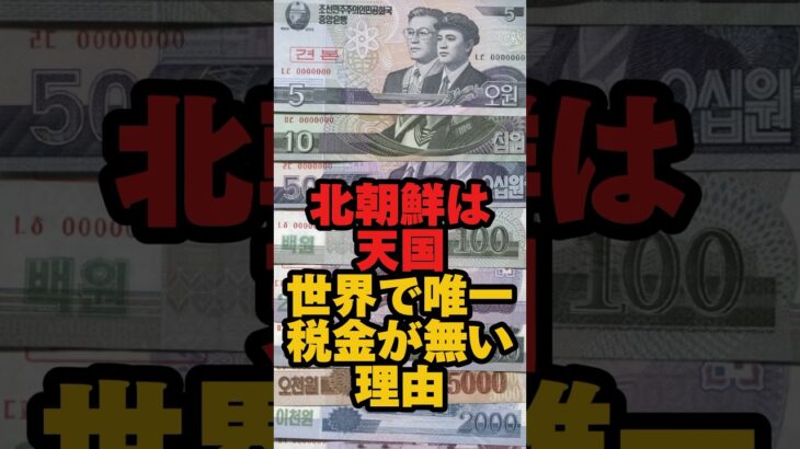 北朝鮮は世界で唯一税金がない理由 #北朝鮮 #金正恩 #税金 #雑学