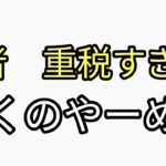 若者　重税すぎて働くのやーめた。税金払いたくない、働きたくない　正常です