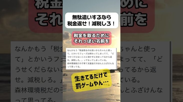 無駄遣いするなら税金返せ！減税しろ！