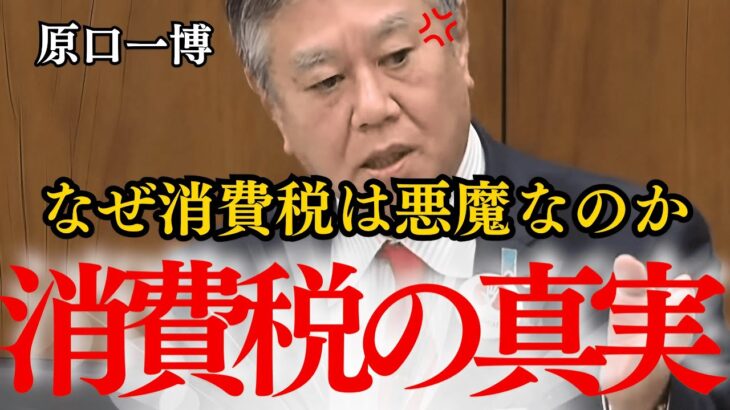 【悪魔の税金】これを見れば”消費税の真実”が分かります【国会中継】【原口一博】