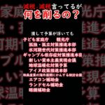 減税、減税言うとるが何を削るんじゃ！？#税金下げろ規制を無くせ