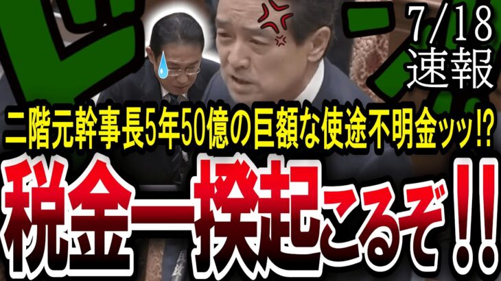 【このままでは本当に税金一揆起こるぞ！！！！】｢脱税国家！！脱税天国だ‼️年間10億の裏金を作る二階元幹事長は自首して罪を償え！！！｣組織的犯罪政党を江田議員がぶった斬る！！！