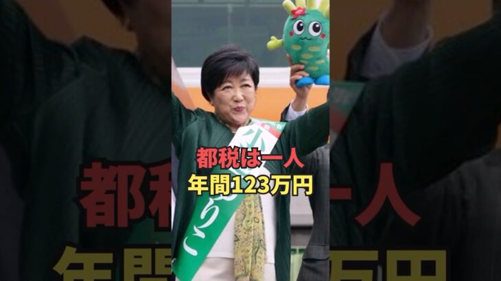 【税金】都税は一人年間123万円 #shorts　#小池百合子　#東京都知事選　#自民党　#裏金　#石丸伸二　#蓮舫