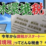 今年から課税がスタート…「森林環境税」ってどんな税金？ キシダ増税【#森林環境税 #税金 #5ch 】