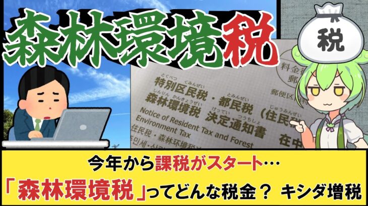 今年から課税がスタート…「森林環境税」ってどんな税金？ キシダ増税【#森林環境税 #税金 #5ch 】