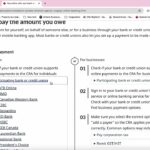 How to Pay CRA Tax Online? 如何网上支付CRA税金？（全球通用版， 2024 最新）
