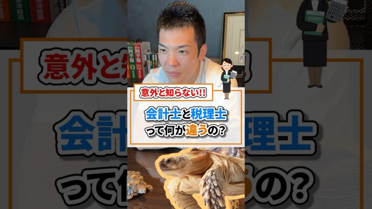 会計士と税理士って何が違うの？【現役税理士が税についてわかりやすく発信🔥】#税理士 #節税 #税金 #確定申告 #求人 #経費 #経営 #会社経営 #社長