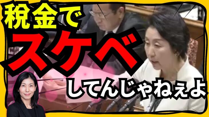 【税金スケベで国会大荒れ】美人官僚が税金で海外出張してチョメチョメしてただと！コネクティングルームでコネクティングしてたんか！立憲民主党の早稲田議員が徹底追求！野次が止まらず議長も困惑！【早稲田ゆき】