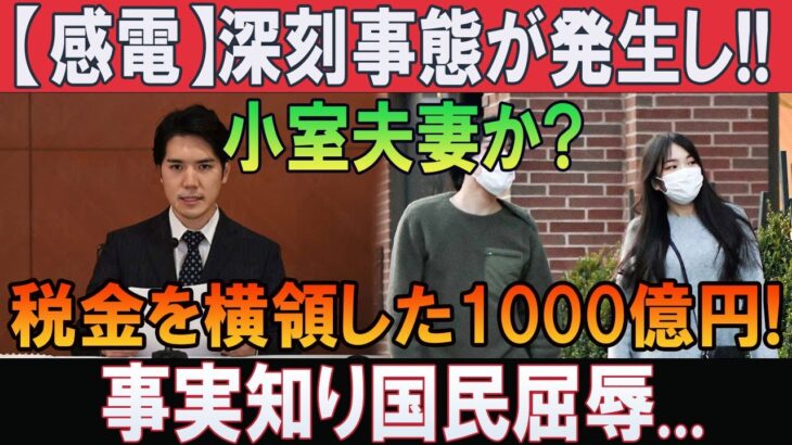 【感電】深刻事態が発生し!! 小室夫妻か税金を横領した1000億円!事実知り国民屈辱…