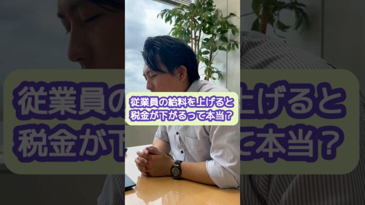 従業員の給料を上げると税金が下がるって本当？【20代開業税理士ひびき】#所得税#法人税#賃上げ#節税