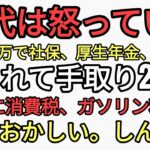 30代税金高すぎて怒っている　給料40万から社保、厚生年金、住民税取られて手取り29万そこから消費税10%タバコ、酒、自動車、ガソリン、銭湯あらゆるものから税金むしり取っていくおかしいしんどい