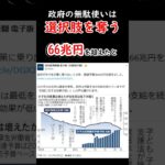 少子化対策66兆円を超えた#税金下げろ規制を無くせ