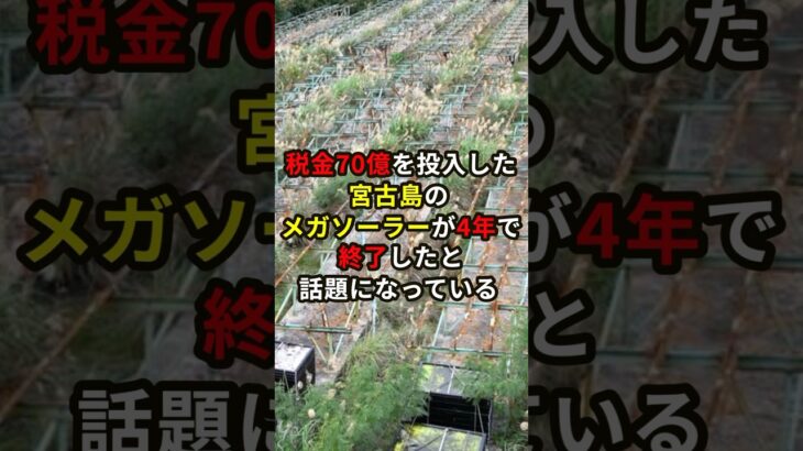 税金70億円を投入した宮古島のメガソーラーが4年で終了したと話題に！？#shorts #ニュース