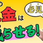 【必見】年金を税金から守る7つの方法！具体的な金額シミュレーションで解説【所得税/住民税/211万円の壁/医療費控除/ふるさと納税/確確定申告】