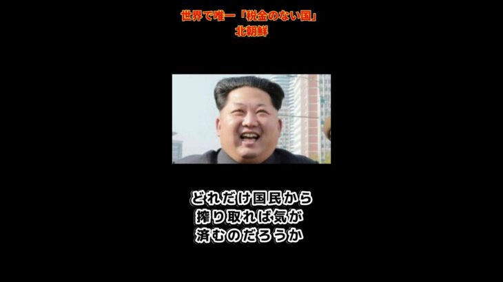 天国！？世界で唯一「税金のない国」北朝鮮＃Shorts