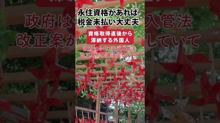 永住権があれば税金を払わなくても大丈夫 資格取得直後から滞納