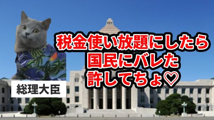 政治家になったら税金使い放題で最高だった話【政治資金規正法】