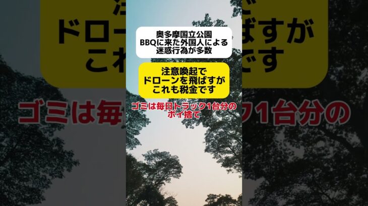 【税金の無駄】奥多摩国立公園で外国人による迷惑行為が多数