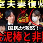 異論税金泥棒と非難殺到、小室夫妻の帰国計画に波紋広がる