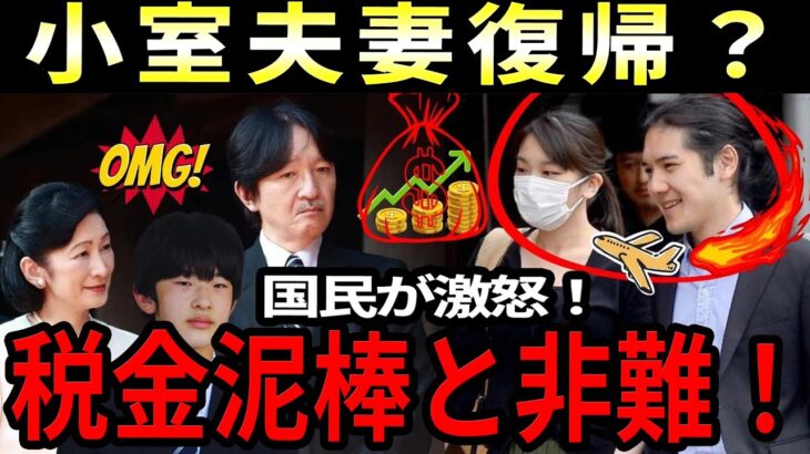 異論税金泥棒と非難殺到、小室夫妻の帰国計画に波紋広がる