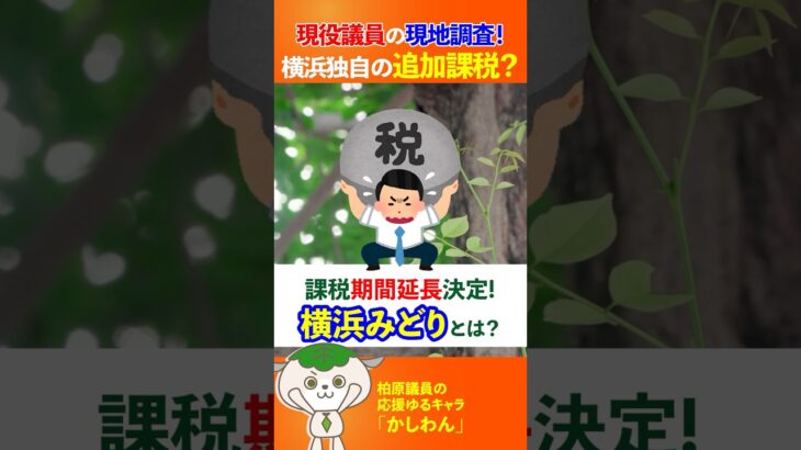 横浜みどり税の効果を検証！～鶴見駅周辺の街路樹の現状を現地取材～ #鶴見駅 #鶴見区 #緑化 #税金