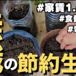 貧乏一人暮らし無職の日常vlog│ベランダ菜園種まき│税金支払い│NISA積立│うまい棒パスタ│#自炊 #節約 #ニート #セミリタイア #生活vlog #暮らしのvlog #フリーター #日常生活