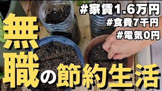 貧乏一人暮らし無職の日常vlog│ベランダ菜園種まき│税金支払い│NISA積立│うまい棒パスタ│#自炊 #節約 #ニート #セミリタイア #生活vlog #暮らしのvlog #フリーター #日常生活