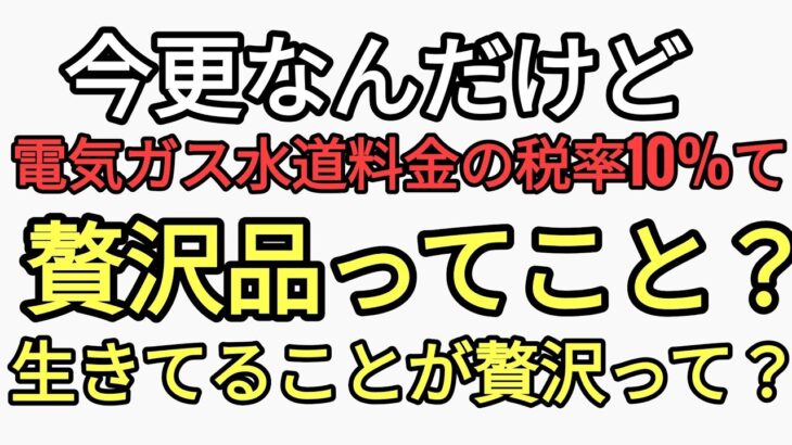 今更なんだけど電気ガス水道料金に10%税金って贅沢品ってこと？生きてることが贅沢品ってこと？