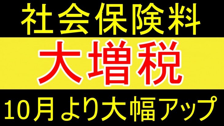 【税金】10月より、社会保険料大幅アップについて思う事ｗ【35歳FIRE】【資産1875万円】