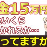 【閲覧注意】年金から税金と社会保険料ってこんなに天引きされるの！？年金15万円のショック過ぎる手取り額とは？