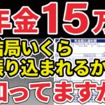 年金月15万円から税金と社会保険料がこんなに天引きされるの⁉